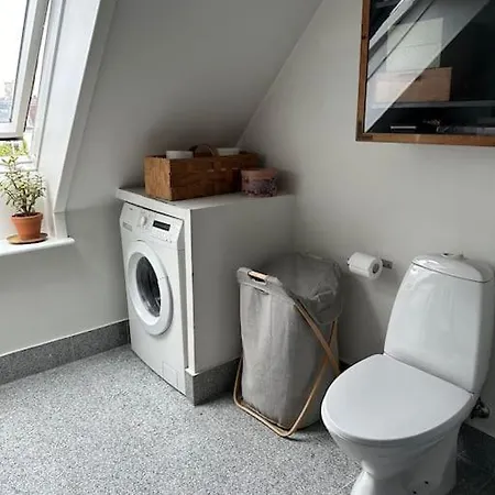 Penthouse Med Egen Tagterrasse Copenhague