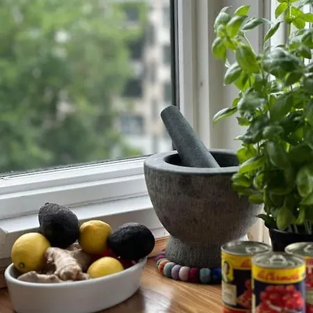 Penthouse Med Egen Tagterrasse * Copenhague