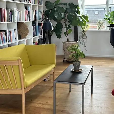 Penthouse Med Egen Tagterrasse * Copenhague