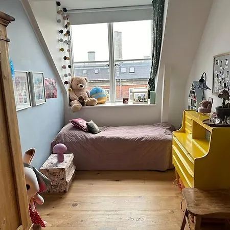 Penthouse M 3 Sovevaerelser Og Tagterrasse