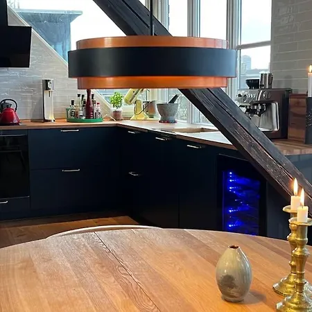 Penthouse M 3 Sovevaerelser Og Tagterrasse Apartament *